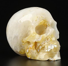 2.0" Coral Fossil Carved Crystal Skull,Realistic, Crystal Healing