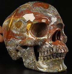 Lifesized 6.1" Indian Agate Carved Crystal Skull,Super Realistic, Crystal Healing