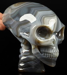 6.5" Premium Brazilian Agate Carved Crystal Elongated Mayan Alien Skull with Spine, Crystal Healing