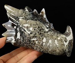 5.7" Premium Brazilian Agate Carved Crystal Dragon Skull, Crystal Healing