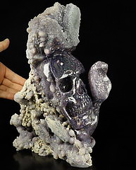 GEMSTONE ORIGINAL 9.4" Purple Grape Agate Carved Crystal Skull & Snake, Crystal Healing