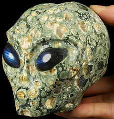 4.1" Rainforest Jasper Crystal Female Alien Skull, Labradorite Eyes