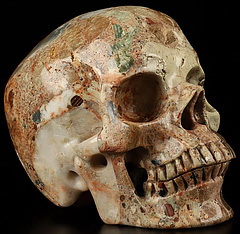 Huge 5.1" Australian Chert Brecciated Carved Crystal skull,Super Realistic, Crystal Healing
