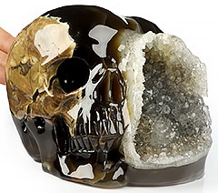 6.5" Dinosaur Egg Agate Geode Carved Crystal Skull, Crystal Healing