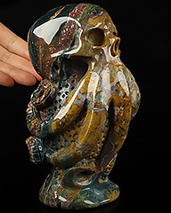 7.4" Indian Agate Carved Crystal Octopus Skull, Crystal Healing