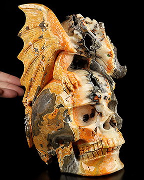 8.0" Bumble Bee Jasper Hand Carved Crystal Skull and Dragon Fine Art Sculpture, Crystal Healing