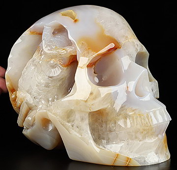 6.9" Premium Brazilian Agate Hand Carved Crystal Skull and Owl Sculpture, Crystal Healing