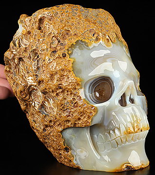 6.1" Agate Geode Hand Carved Crystal Skull Fine Art Sculpture, Crystal Healing