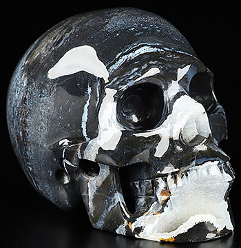 5.0" Black Zebra Agate Hand Carved Crystal Skull, Realistic, Crystal Healing