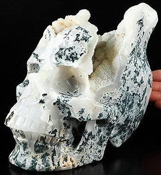 Super Realistic! Lifesized 7.5" Tree Agate Hand Carved Crystal Skull, Crystal Healing