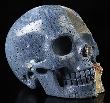 4.1" Blue Ridge Coral Hand Carved Crystal Skull, Realistic, Crystal Healing