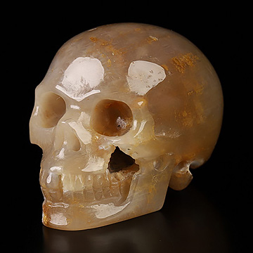 1.2" Coral Fossil Hand Carved Crystal Skull, Realistic, Crystal Healing