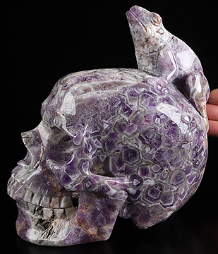 6.3" Dream Chevron Amethyst Hand Carved Crystal Skull and Frog Fine Art Sculpture, Crystal Healing