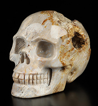 2.0" Coral Fossil Hand Carved Crystal Skull, Realistic, Crystal Healing