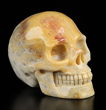 2.0" Coral Fossil Hand Carved Crystal Skull, Realistic, Crystal Healing