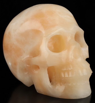 4.4" Selenite Hand Carved Crystal Skull, Realistic, Crystal Healing