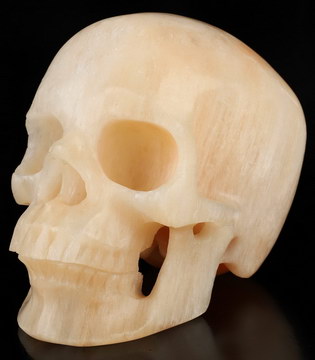 5.0" Selenite Hand Carved Crystal Skull, Super Realistic, Crystal Healing