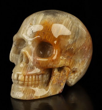 2.0" Coral Fossil Hand Carved Crystal Skull, Realistic, Crystal Healing