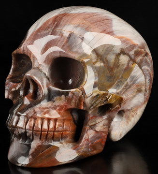 4.5" Petrified Wood Hand Carved Crystal Skull, Realistic, Crystal Healing