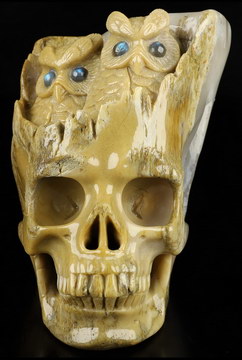 5.1" Petrified Wood Hand Carved Crystal Skull Fine Art Sculpture, Crystal Healing