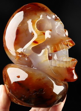 5.8" Carnelian Hand Carved Crystal Skull Fine Art Sculpture, Crystal Healing