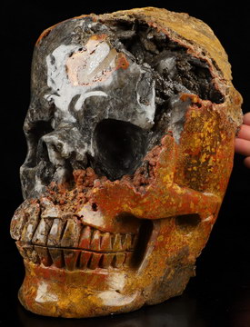8.7" Empire Red Agate Hand Carved Crystal Skull Fine Art Sculpture, Crystal Healing