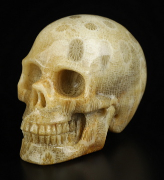 2.0" Coral Fossil Hand Carved Crystal Skull, Realistic, Crystal Healing