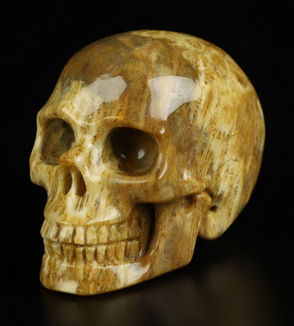 2.0" Coral Fossil Hand Carved Crystal Skull, Realistic, Crystal Healing