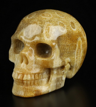 2.0" Coral Fossil Hand Carved Crystal Skull, Realistic, Crystal Healing