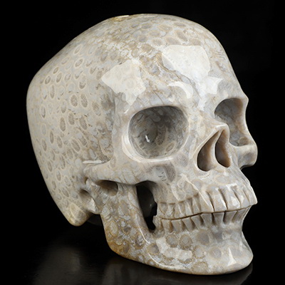5.1" Coral Fossil Hand Carved Crystal Skull, Super Realistic, Crystal Healing