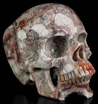 Gemstone 5.4" Red Crazy Lace Agate Hand Carved Crystal Skull, Super Realistic, Crystal Healing