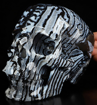 Aug 3, 2026 ACSAD (A Crystal Skull a Day) - The Ink Between Worlds - Lifesized 6.4" Black Zebra Agate Hand Carved Crystal Skull, Super Realistic, Crystal Healing