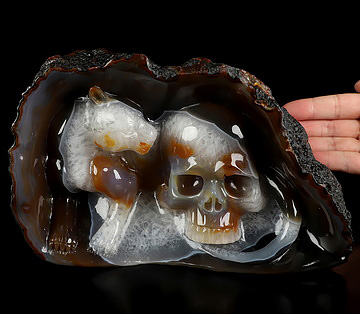 Aug 20, 2026 ACSAD (A Crystal Skull a Day) - The Wild Within - 8.0" Premium Brazilian Agate Hand Carved Crystal Skull Fine Art Sculpture, Crystal Healing