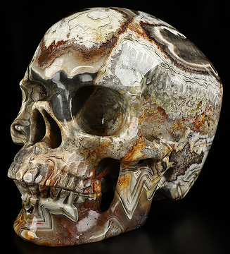 Gemstone 5.0" Red Crazy Lace Agate Hand Carved Crystal Skull, Super Realistic, Crystal Healing