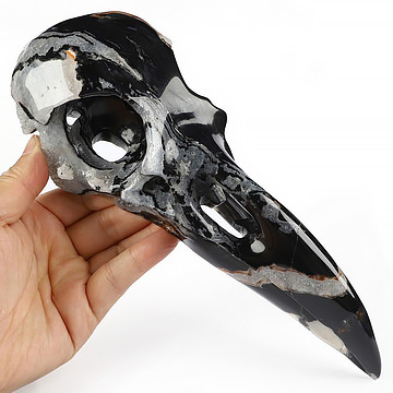 9.3" Black Zebra Agate Hand Carved Raven Crystal Skull Sculpture, Crystal Healing
