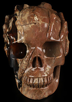 6.6" Dinosaur Egg Agate Hand Carved Crystal Skull and Facehugger Sculpture, Crystal Healing