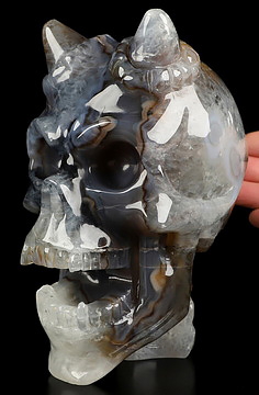 Ring-Base Horned Skull - 6.5" Premium Brazilian Agate Hand Carved Crystal Skull Sculpture, Crystal Healing