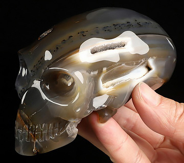 4.8" Premium Brazilian Agate Hand Carved Crystal Elongated Mayan Alien Skull Sculpture, Crystal Healing