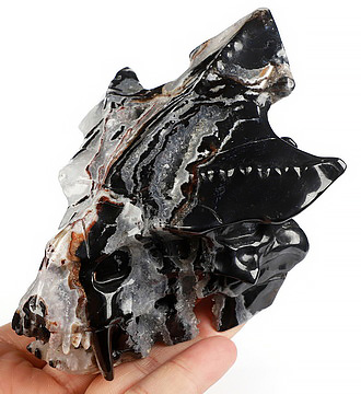4.5" Black Zebra Agate Hand Carved Pterodactyl Crystal Skull Fine Art Sculpture, Crystal Healing
