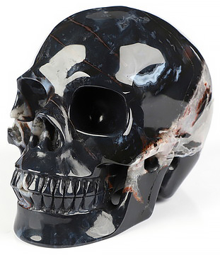 5.0" Black Zebra Agate Hand Carved Crystal Skull, Realistic, Crystal Healing