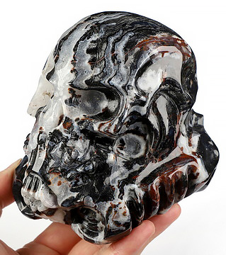 Storm Troopers - 4.9" Black Zebra Agate Hand Carved Crystal Skull Fine Art Sculpture, Crystal Healing