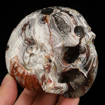 Gemstone 3.5" Red Crazy Lace Agate Hand Carved Nautiloid Cthulhu Crystal Skull Sculpture, Crystal Healing