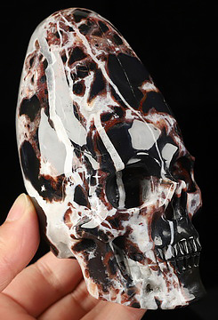 5.3" Black Zebra Agate Hand Carved Incan Crystal Skull Sculpture With Stand, Crystal Healing