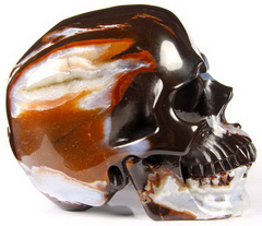 Lifeszied 6.6" Black Zebra Agate Carved Crystal Skull,Super Realistic