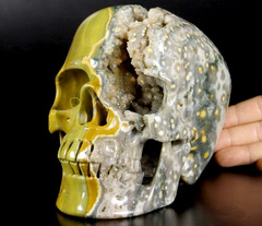 Lifesized 6.5" Ocean Jasper Geode Carved Crystal Skull,Super Realistic
