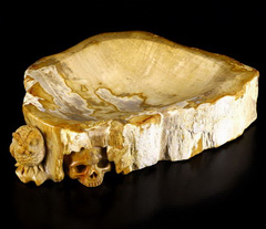 Original 8.5" Petrified Wood Carved Crystal Skull & Owl Plate Sculpture, Realistic, Crystal Healing