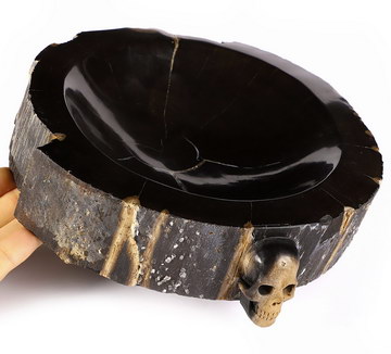 Original Design 8.1" Black Petrified Wood Carved Crystal Skull Plate, Realistic