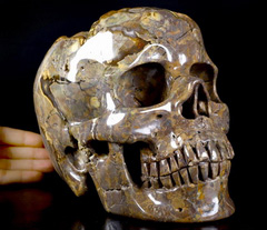 Giant 8.3" Dinosaur Egg Agate Geode Carved Crystal Skull, Realistic, Crystal Healing