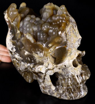 Giant 8.0" Agate Geode Carved Crystal Skull, Super Realistic, Crystal Healing