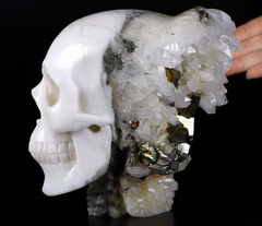 Lifesized 7.0" Pyrite Druse Carved Crystal Skull With Spine, Realistic, Crystal Healing